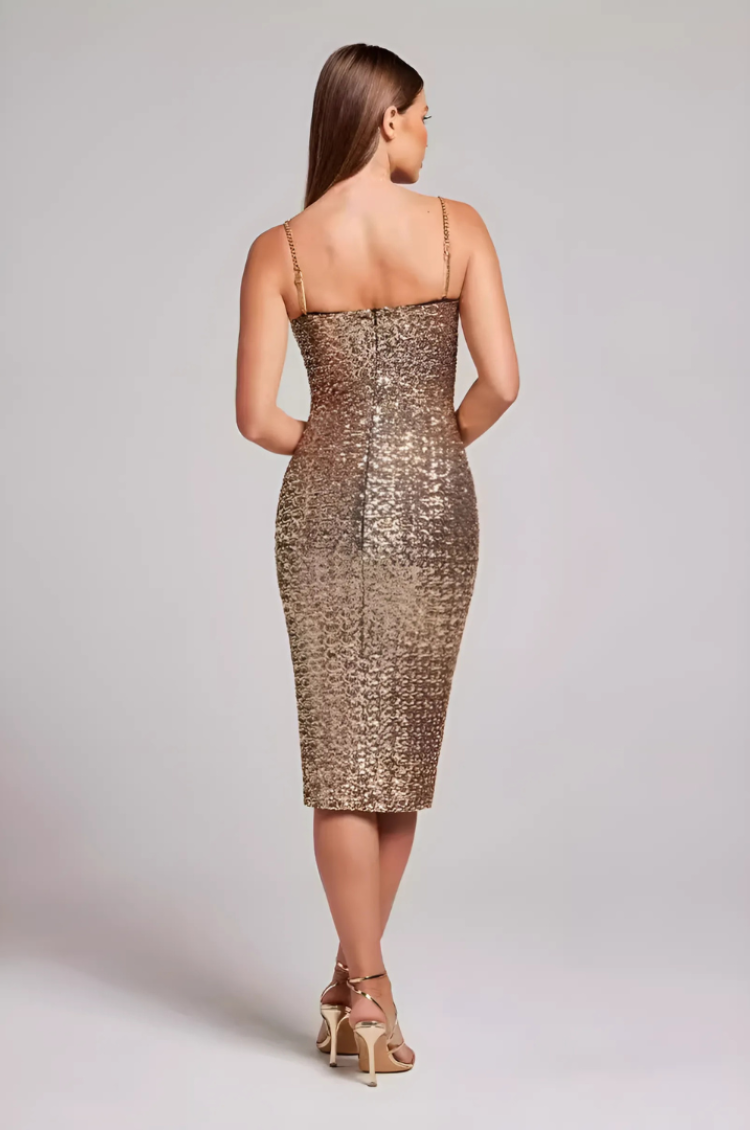 Corrina - luxe glam dress