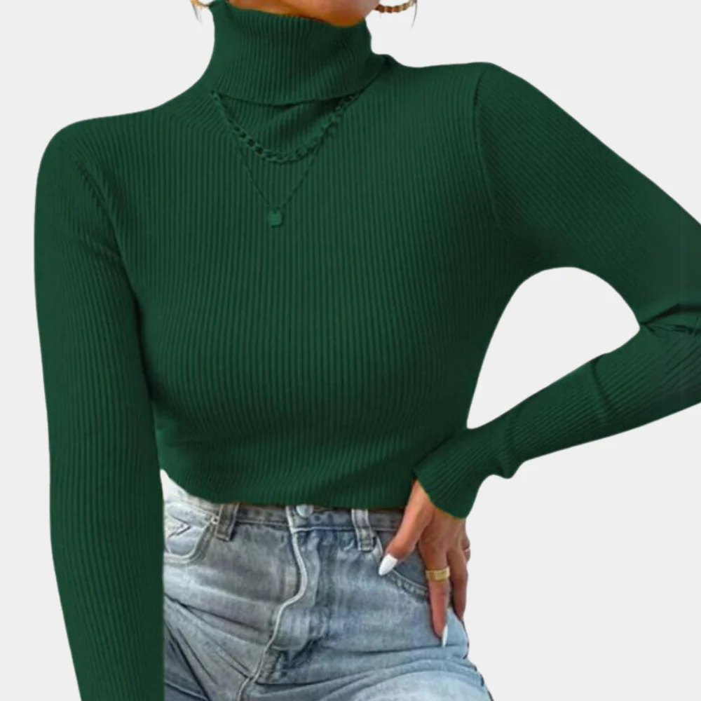 Fall Ribbed Turtleneck