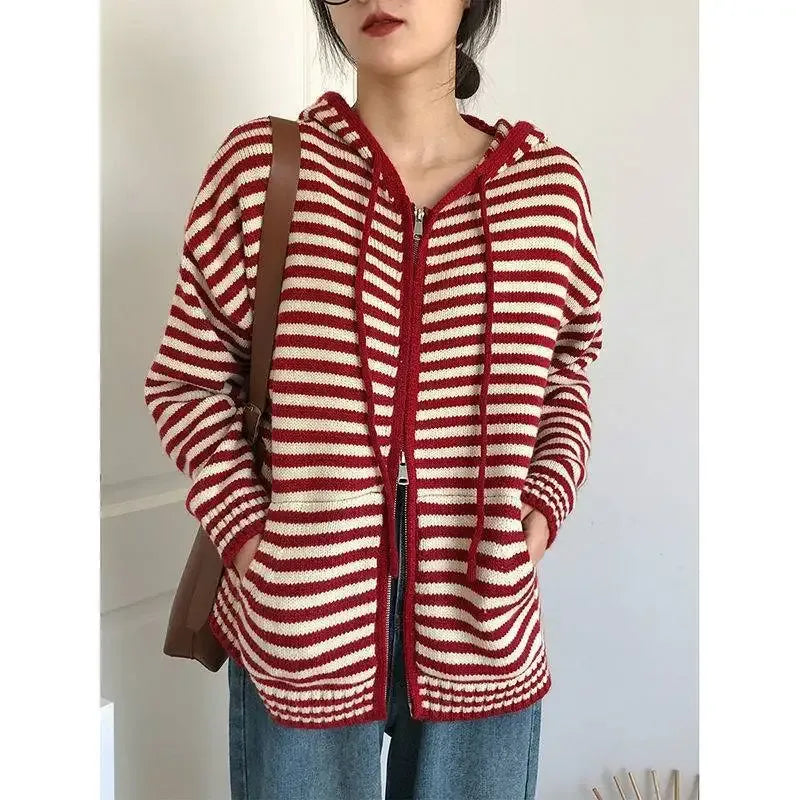 Fall Striped Knit Hoodie
