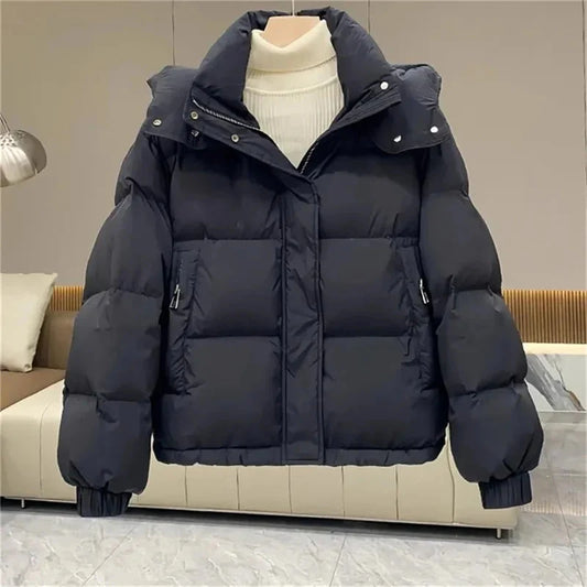 Puffer Jacket With Hoodie