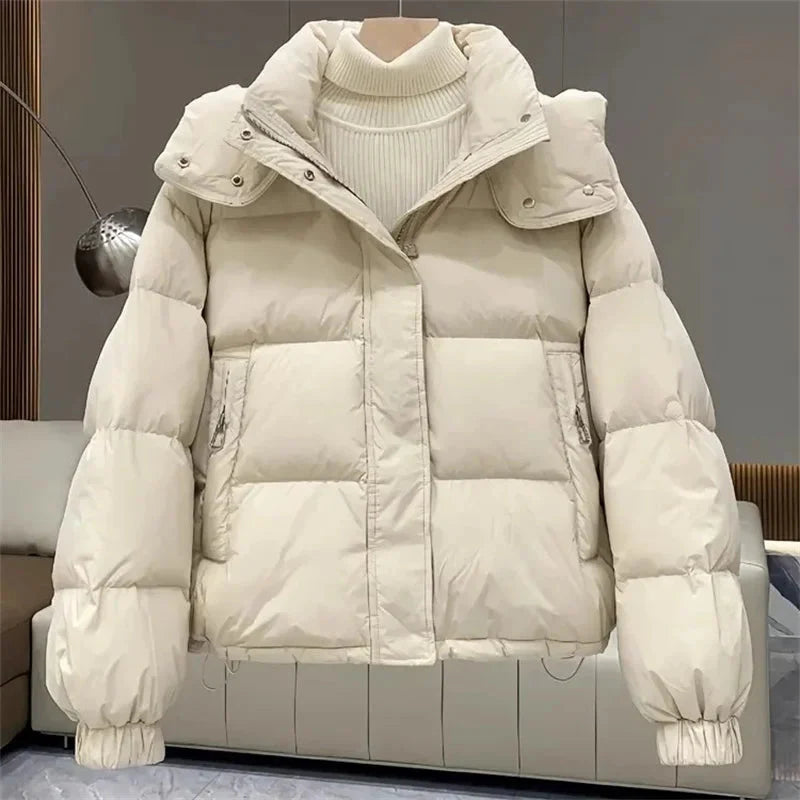 Puffer Jacket With Hoodie