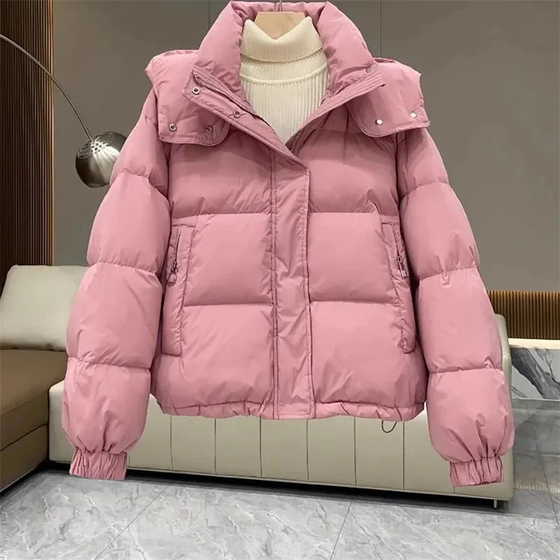 Puffer Jacket With Hoodie