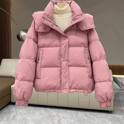 Puffer Jacket With Hoodie